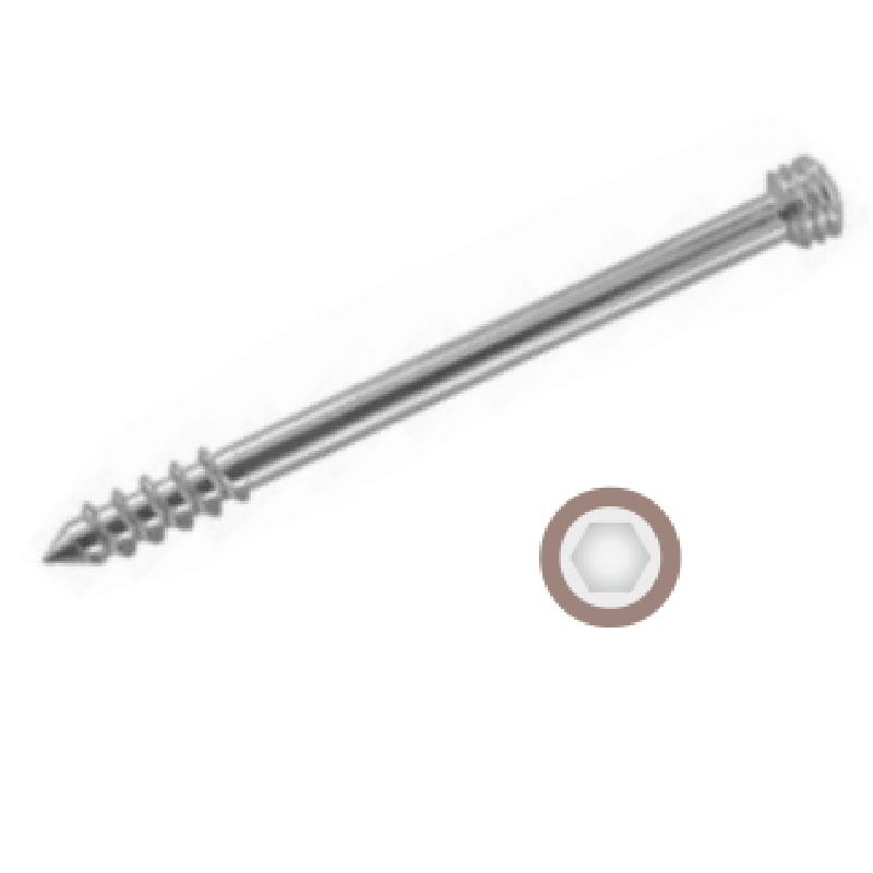 Quicklock-Cancellous-Screw-Dia-6.5mm-with-16mm-Thread-Self-Tapping